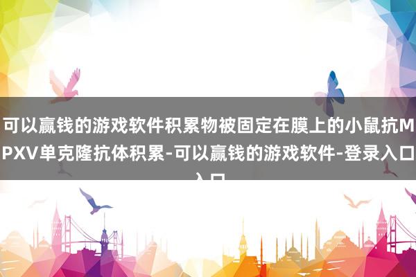 可以赢钱的游戏软件积累物被固定在膜上的小鼠抗MPXV单克隆抗体积累-可以赢钱的游戏软件-登录入口